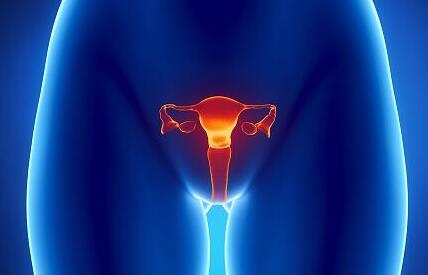 什么是子宫内的液体，它对我们的身体有什么影响？