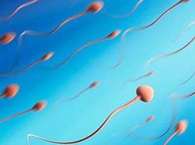 苏州合法助孕产子医院排名-畸形精子需要捐精者吗？男性的炎症性不孕症