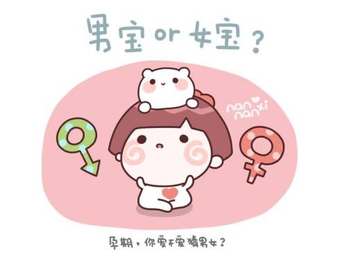香港助孕男孩价格-为什么内地的孕妈妈要去香港做Y检查